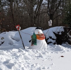 Staff Mention - Dan Roe_s Snowman