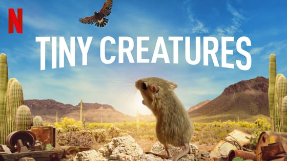 Tiny Creatures on Netflix